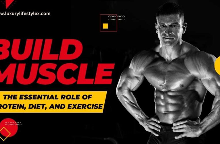 Build Muscle: The Essential Role of Protein, Diet, and Exercise